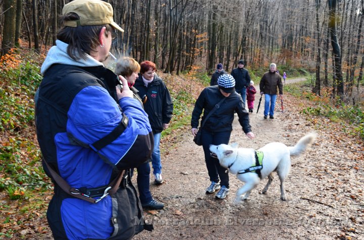Wandertag 2012 - 084.JPG